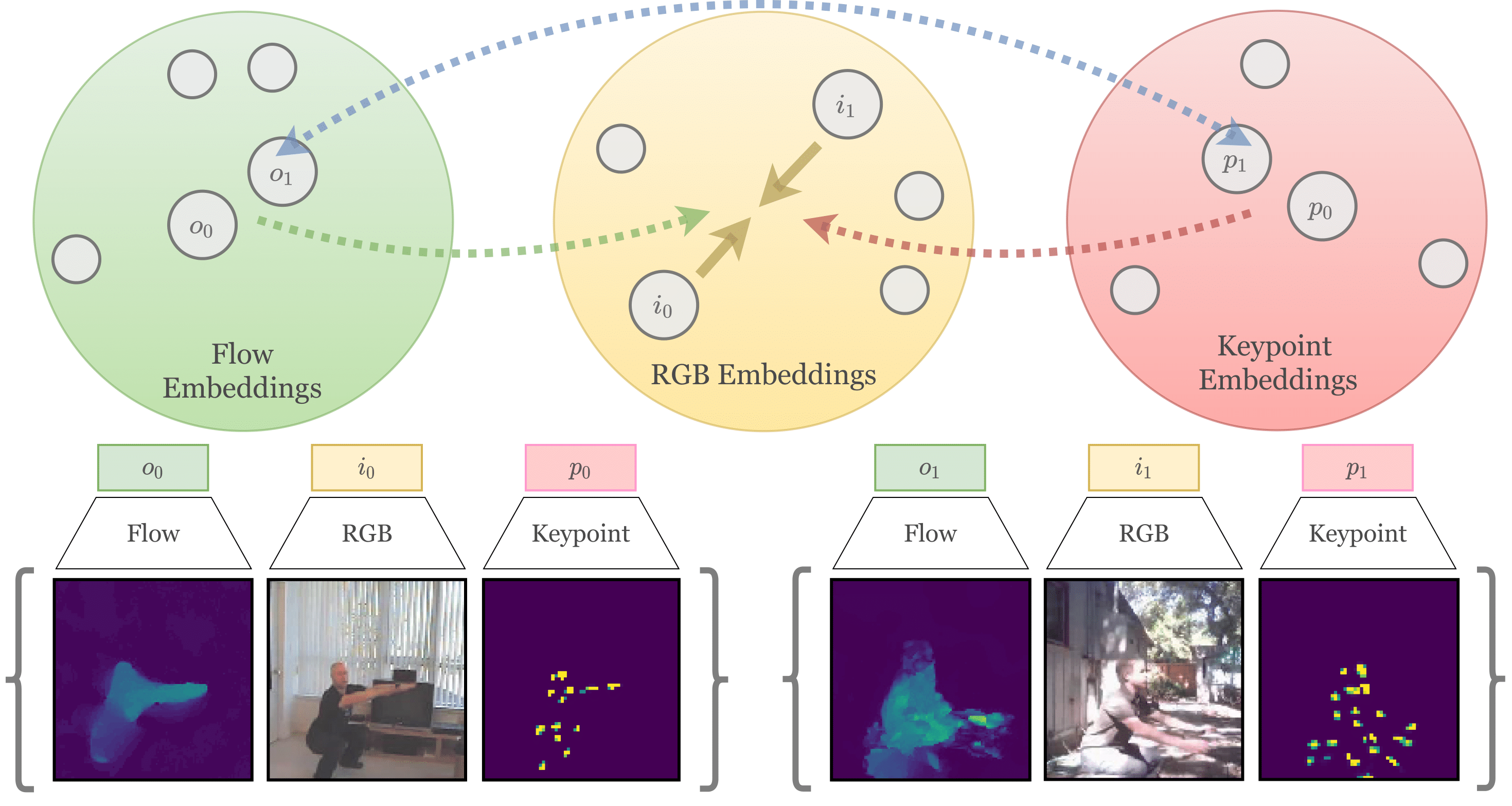 RGB, optical-flow, and pose representations used for cooperative contrastive learning.